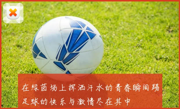 在绿茵场上挥洒汗水的青春瞬间踢足球的快乐与激情尽在其中